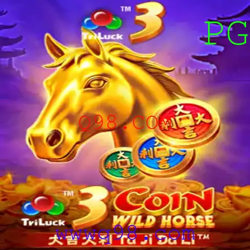 Q98.COM Casino App