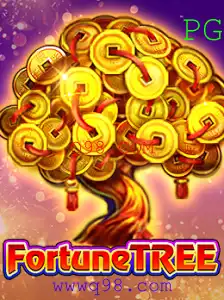 Q98.COM Casino App