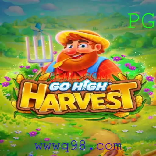 Q98.COM Casino App
